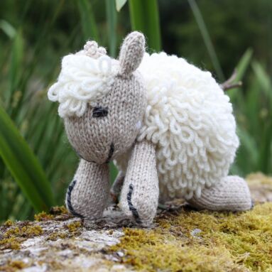 Aran Wool Sheep Teddy